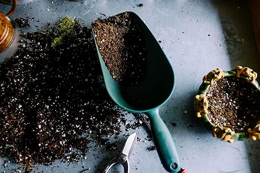 Natural Horticultural Perlite (2 Quart)