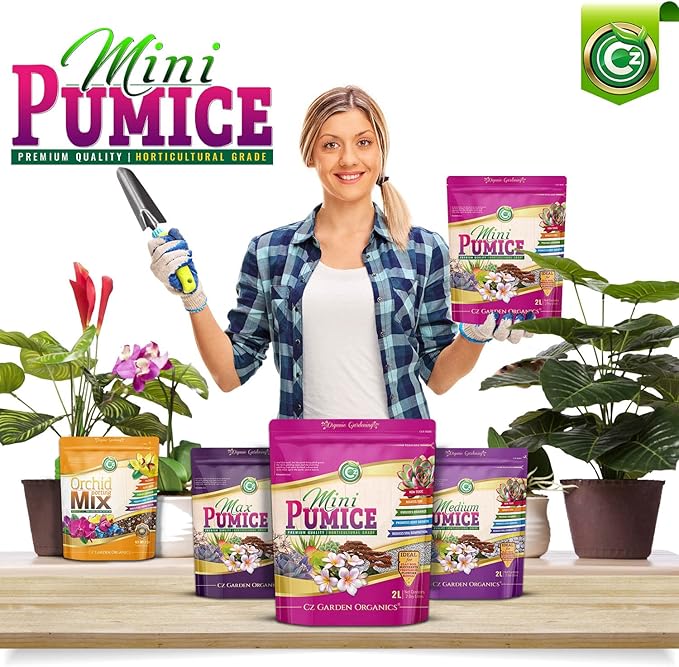 Pumice Stone Grow Media - Made in USA for Bonsai • Succulents • Cactus • Orchids - Horticultural Soil Amendment Additive Conditioner for Indoor and Outdoor Plants and Flower Gardens. OMRI Listed