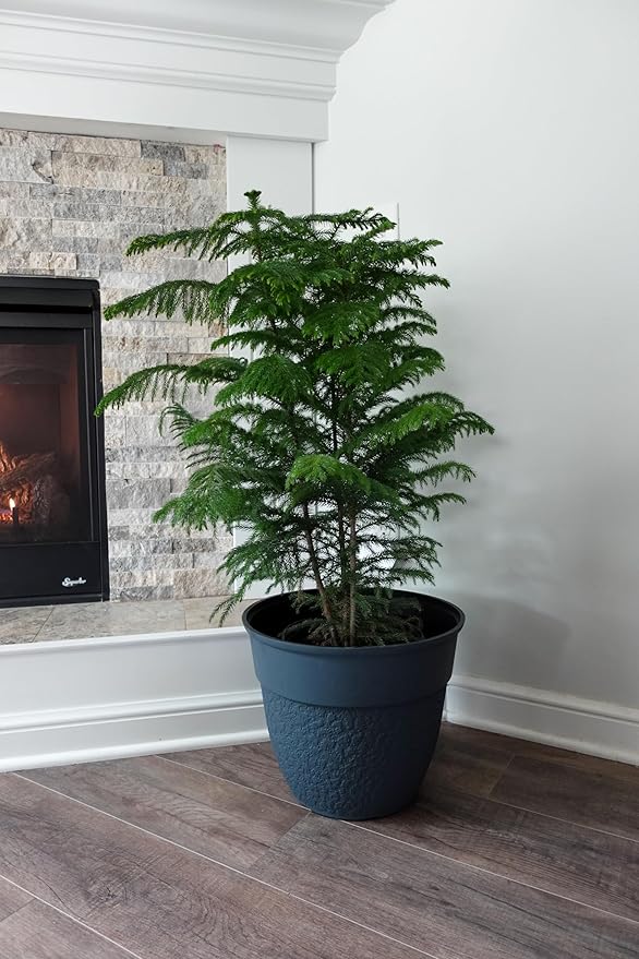 The HC Companies 16 Inch Brookhaven Decorative Round Planter - Lightweight Premium Resin Plant Pot with a Stonelike Texture for Indoor Outdoor Use, Slate Blue