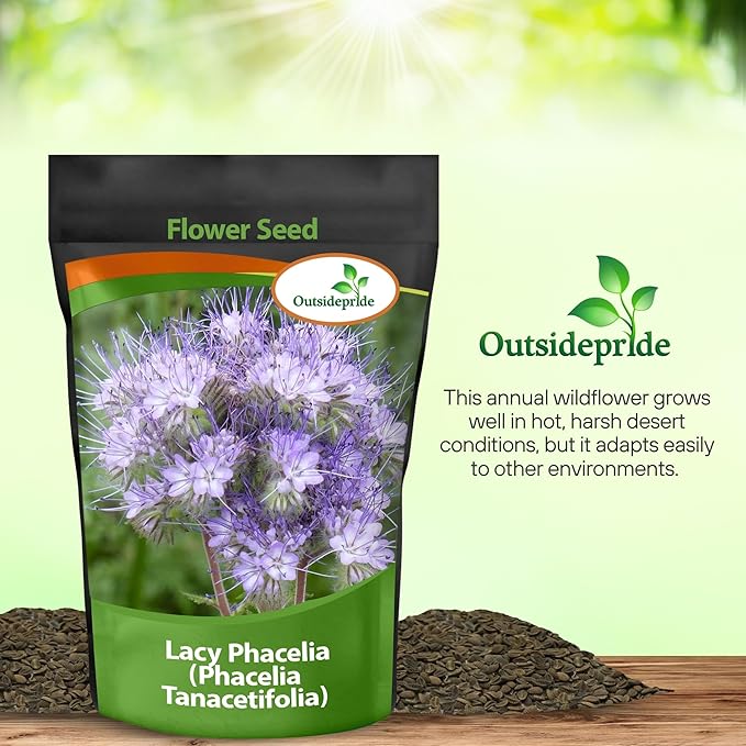 Outsidepride 1/4 lb. Annual Lacy Phacelia Wild Flowers Seeds for Planting