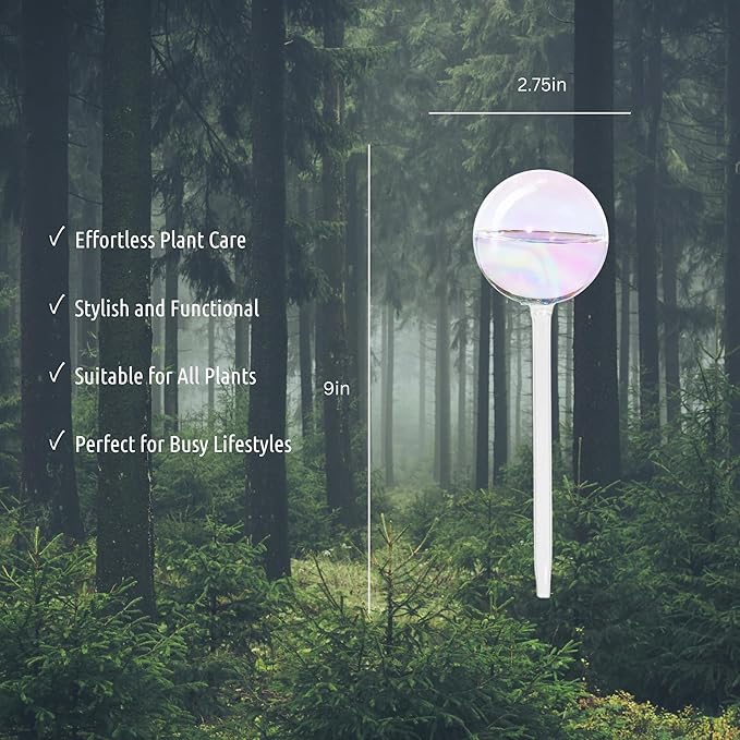 LGL Plant Watering Globes - 2 Pieces Clear Rainbow. Decorative Self Watering Planter Inserts. Hand-Blown Durable Glass. Ideal Plant Lover Gift (2pk Medium)