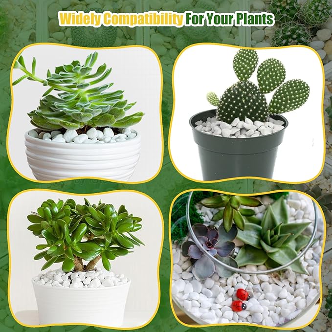 Organic Chunky Perlite for Plants (0.4"-0.8" in Diameter), Natural Horticultural Soil Additive Conditioner Mix, Improve Drainage and Ventilation, Enhance Soil Health and Root Growth (1 Quart)