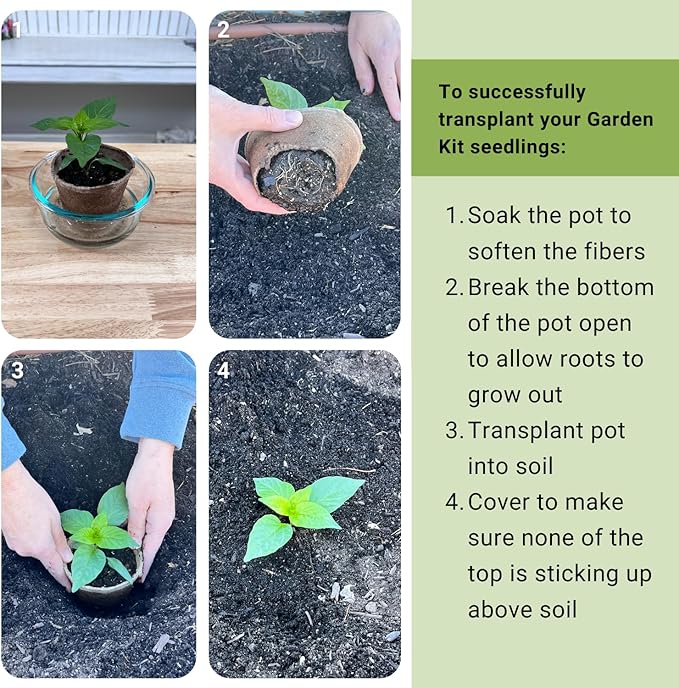 Sow Right Seeds - Heirloom Medicinal Garden Seeds Growing Kit - 5 Medicinal Varieties - Pots & Potting Soil - Grow Herbal Teas with Non-GMO Packets of Lavender, Chamomile, & Echinacea - Wonderful Gift