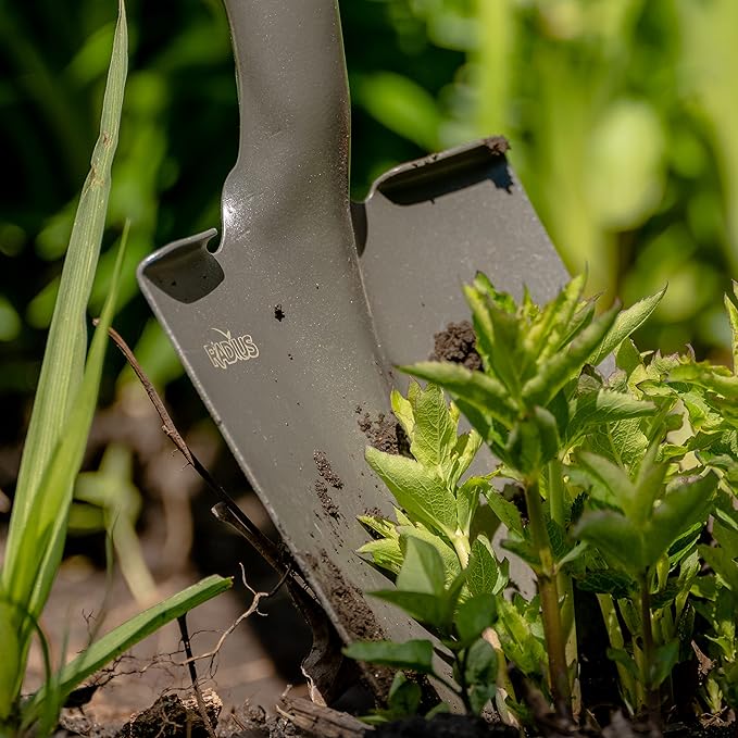 Radius Garden 25811 Pro-Lite Carbon Steel Floral Shovel, Red