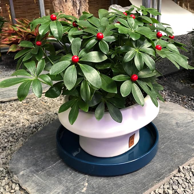 Blue Ceramic Pot Saucer - Drainage Tray for Indoor and Outdoor Flower Plant Pots and Planters, 12 Inch