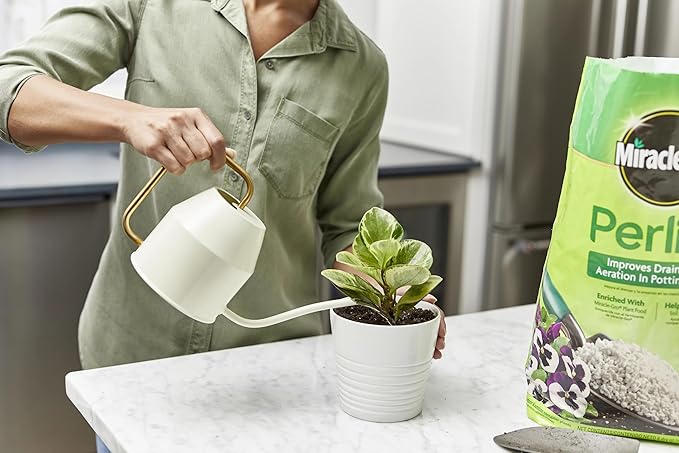 Miracle-Gro Perlite, Enriched with Plant Food, Improves Drainage and Aeration in Potting Mixes, For Container Plants, 8 qt., 3-Pack