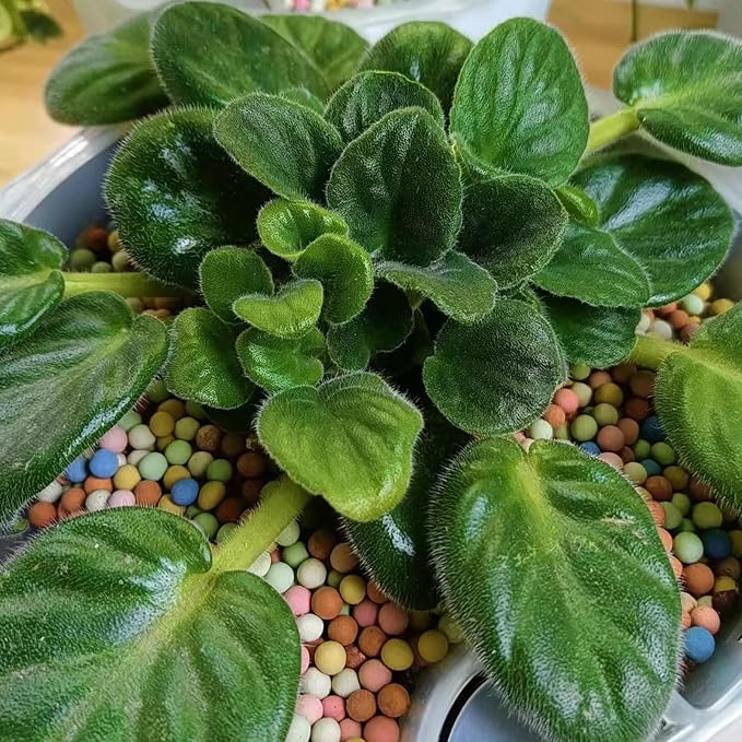 4.4lb LECA Clay Pebbles 4-5MM- Multicolor Clay Balls for Plants,Leca Balls for Plants,Horticultural Grade for Soil Hydroponics Aquaponics