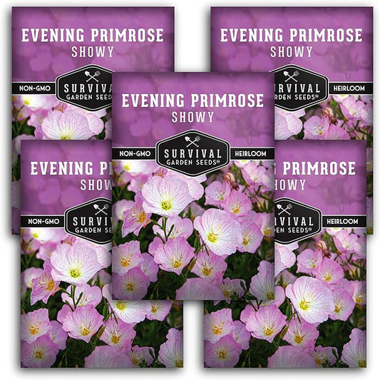 Showy Evening Primrose Seed for Planting - 5 Packets with Instructions to Plant and Grow Pinkladies in Your Home Flower Garden - Non-GMO Heirloom Variety - Survival Garden Seeds - Mexican Primrose