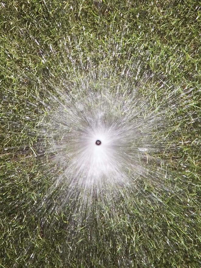 Rain Bird 15FC1 Spray Nozzle, 360° Full Circle Pattern, 8' - 15' Spray Distance (Pack of 5)