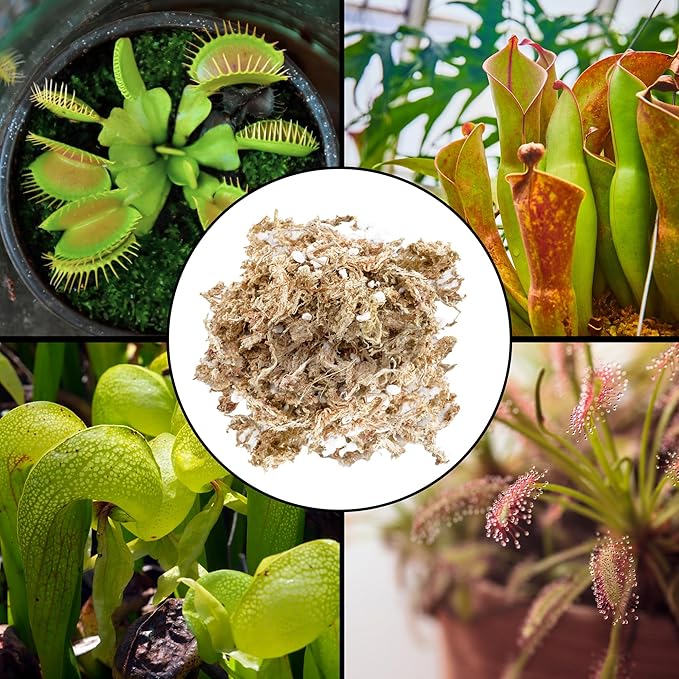 All Natural Sphagnum Moss Potting Mix (2 Quarts), Dried Moss Blend for Carnivorous Plants, Orchids, Top Dressing, and More