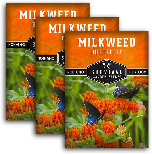 Butterfly Milkweed Seeds for Planting - 3 Packs with Instructions to Grow Asclepias Tuberosa - Attract Butterflies & Help Conservation - Non-GMO Heirloom Open-Pollinated - Survival Garden Seeds