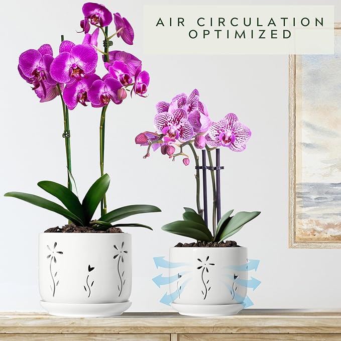 Set of 2 White Orchid Pots with Holes and Saucer, 5 + 6 Inch Ceramic Orchid Planters for Repotting with Drainage Holes and Tray, Plant Flower Pot containers for Orchid Indoor Outdoor