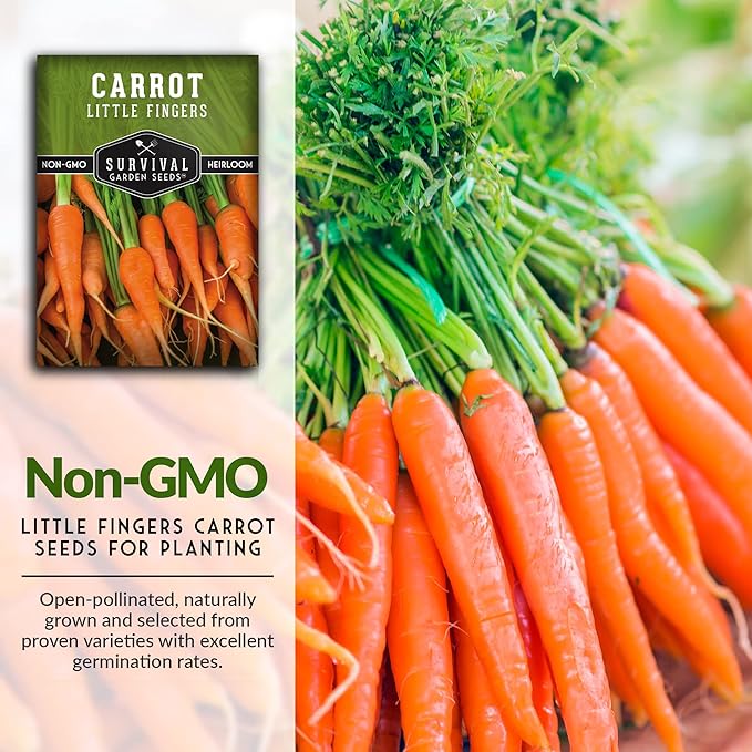 Survival Garden Seeds - Little Fingers Carrot Seed for Planting - Packet with Instructions to Plant and Grow Delicious Baby Carrots in Your Home Vegetable Garden - Non-GMO Heirloom Variety - 5 Pack
