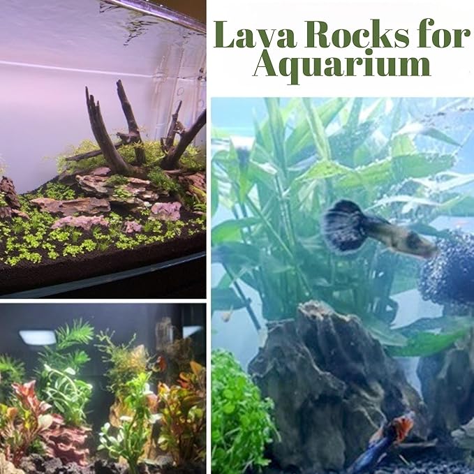 2.4LB Black Lava Rocks for Plants, Volcanic Rock Horticultural Lava Rock Soil for Landscaping Plants Drainage, Small Lava Rock Gravel for Succulents, Bonsai, Vase Fillers, Top Dressing