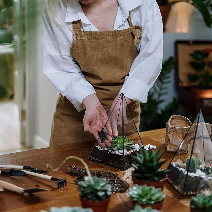 Halatool 3 QT Organic Aloe Plant Soil Potting Mix Garden Top Succulent Soil for Indoor & Outdoor Plants Bonsai Aloe Vera Soil for Houseplants Flowers Vegetables & Herbs