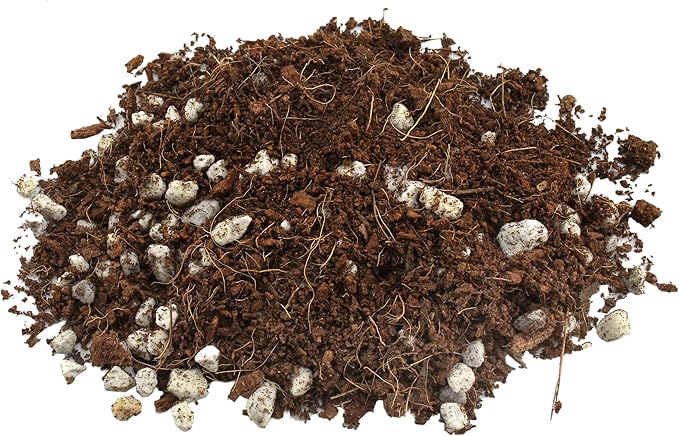 Terrarium Potting Soil Mix (4 Quarts), w/Blended Filtering Charcoal Custom Made for Terrariums