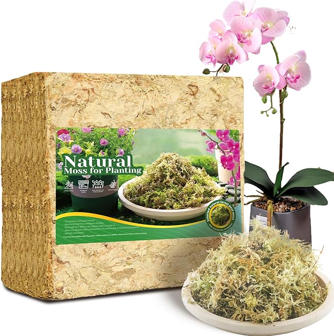 4LB Sphagnum Moss for Plants Indoor, Premium Peat Moss for Reptiles Terrarium-80 Quarter, Natural Long Fiber Orchid Moss for Repotting Propagation Succulent Sarracenia Carnivorous Gardening