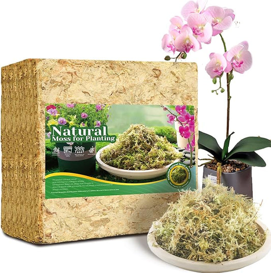 4LB Sphagnum Moss for Plants Indoor, Premium Peat Moss for Reptiles Terrarium-80 Quarter, Natural Long Fiber Orchid Moss for Repotting Propagation Succulent Sarracenia Carnivorous Gardening