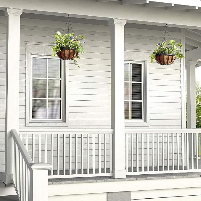 Arcadia Garden Products CB42 12" Solstice Round Hanging Basket, Black