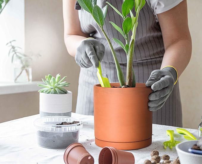 D'vine Dev Terracotta Pots for Plants, 5.3 Inch 6.5 Inch 7.8 Inch, Round Cylinder Planter Pot with Drainage and Saucer, 40-T-B-0