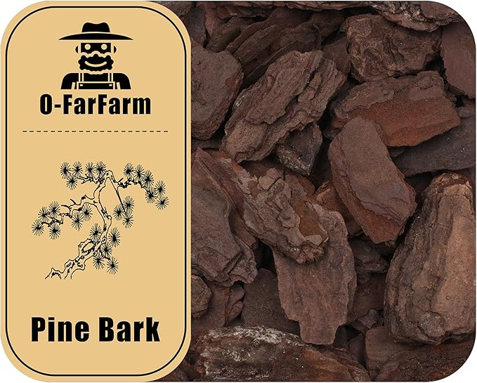 Orchid Bark for Plants, Organic Pine Bark for Proper Root Development for Phalaenopsis, Cattleyas, Dendrobiums, Oncidiums, Paphiopedilums and More(1qt, Large(18-35mm))