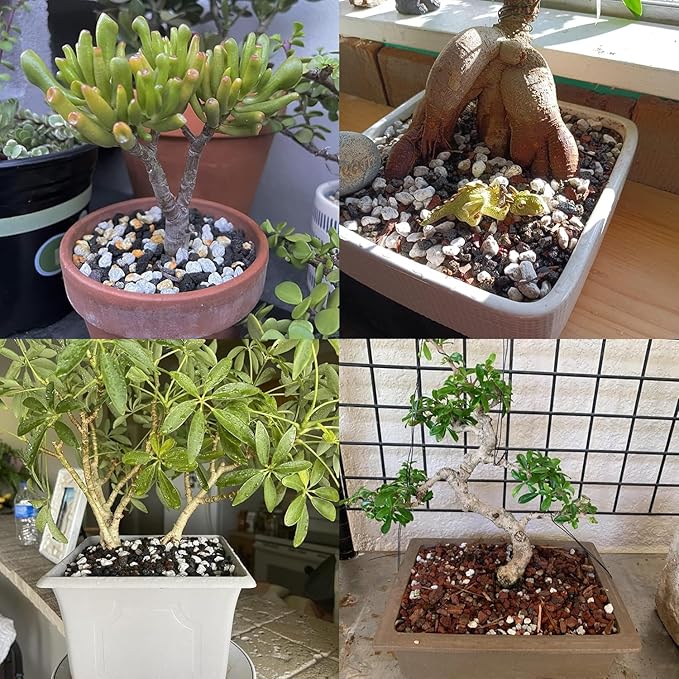 Organic Pumice for Bonsai and Horticultural 100% Natural- (3 gallons, 1/4 inch)