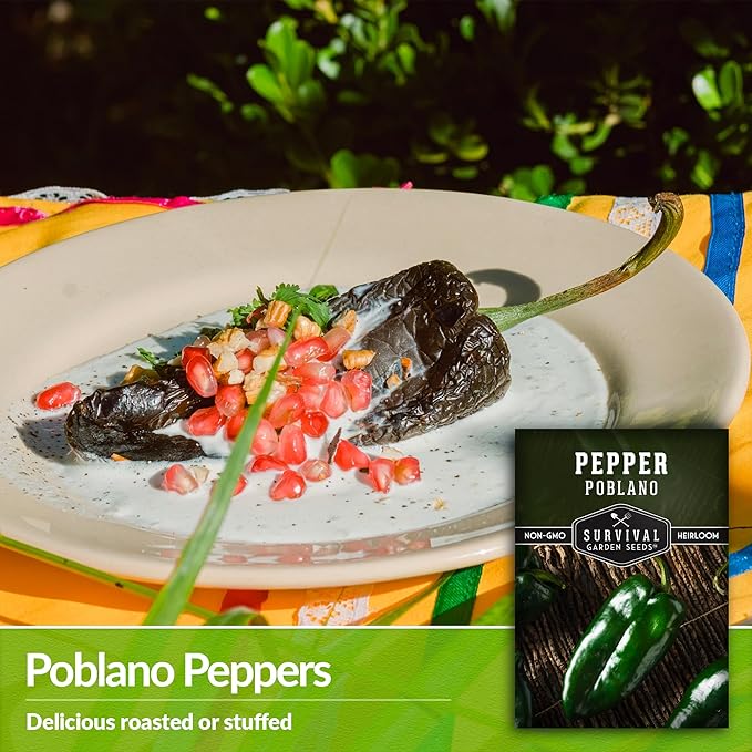Poblano Pepper Seed for Planting - 1 Packet with Instructions to Plant and Grow Ancho Chiles in Your Home Vegetable Garden - Non-GMO Heirloom Variety - Survival Garden Seeds