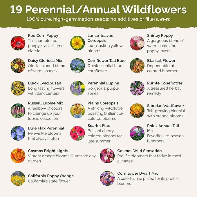 Eden Brothers Missouri Wildflower Mixed Seeds for Planting, 1 oz, 30,000+ Seeds with Lupine, Coreopsis | Attracts Pollinators, Plant in Spring or Fall, Zones