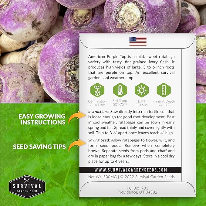 Survival Garden Seeds - 2 Packs American Purple Rutabaga Seed for Planting with Instructions to Grow Brassica Napus in Your Home Vegetable Garden - Non-GMO Heirloom Variety