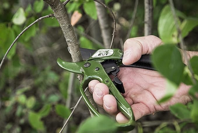 EZ Kut Heavy Duty Pruning Shears Green - with Ratcheting Action Great Garden Hand Tool Clippers Gardening pruners arthritis tools Ratcheting Anvil Hand Pruner Pruning Shears Heavy Duty Since 1988