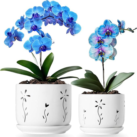 Set of 2 White Orchid Pots with Holes and Saucer, 5 + 6 Inch Ceramic Orchid Planters for Repotting with Drainage Holes and Tray, Plant Flower Pot containers for Orchid Indoor Outdoor