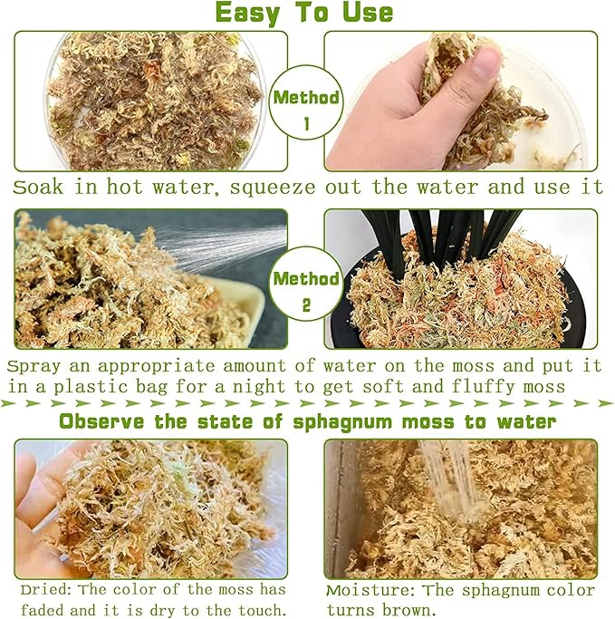 Legigo 3.5oz Premium Sphagnum Moss Potting Mix- 4 QT Natural Succulent Carnivorous Plants Moss Dried, Plant Growing Medium for Orchid Succulent Sarracenia Orchid Gardening Plants Reptiles