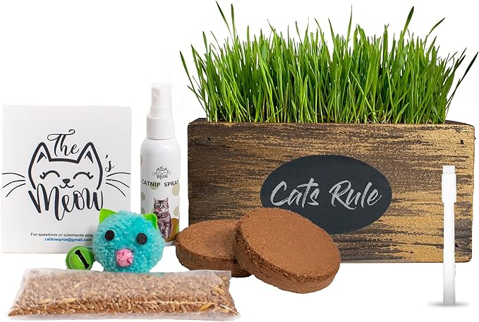 Ornamental Indoor Planter with Pet/Cat Grass Growing kit, Handcrafted in The USA from Red Cedar (Golden Aged)