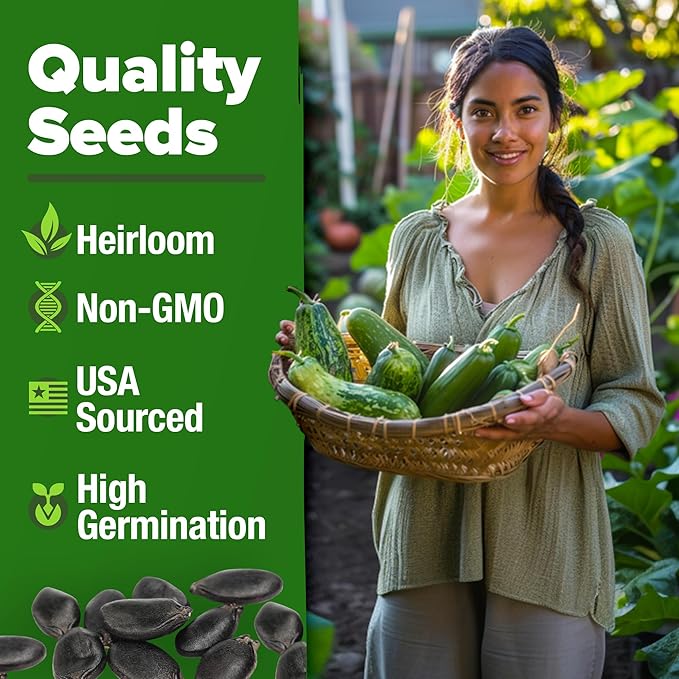 HOME GROWN Luffa Seeds 2 Pack (Luffa aegyptiaca) - 80 Heirloom Loofah Seeds. Non-GMO Loofah Gourd Seeds for Planting. High Germination Rate - Make Sponges or Harvest Young Loofahs for Eating