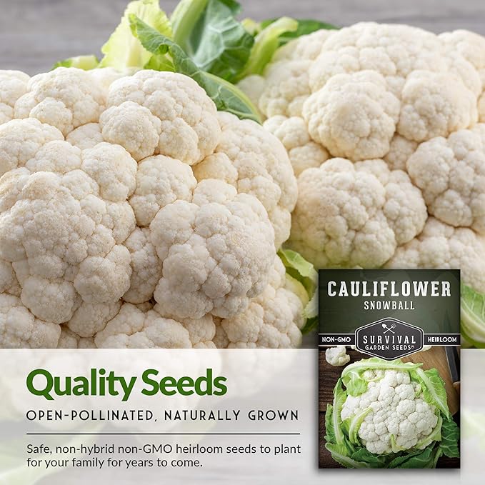 Snowball Cauliflower Seed for Planting - Packet with Instructions to Plant & Grow Amazing White Vegetables in Your Home Vegetable Garden - Non-GMO Heirloom Variety - Survival Garden Seeds