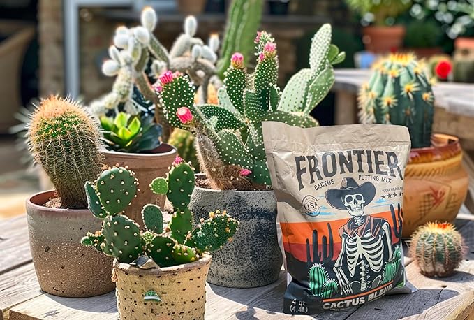 Cactus Soil Potting Mix for Cacti & Succulents - Cactus Soil with Mycorrhizal Fungi - 4.4 QTS - High Drainage Indoor Potting Soil - Frontier Soil