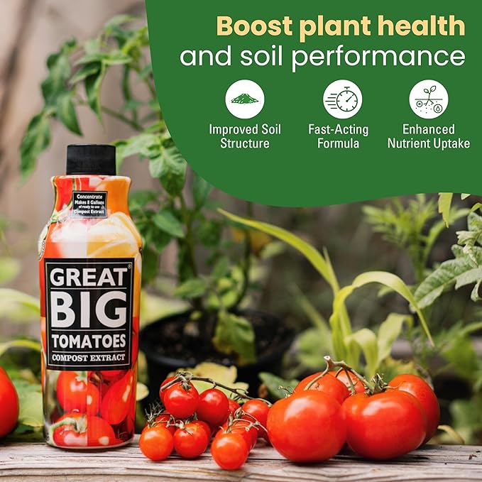 Great Big Tomatoes – Soil and Tomato Fertilizer Booster to Grow The Tastiest Tomatoes and Veggies; 1 Gallon Concentrate (Makes 32 Gallons)