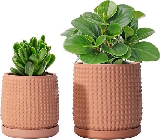 D'vine Dev 6 Inch 4 Inch Terracotta Indoor Planter Pots with Drainage Hole and Saucer, Beaded Design Flower Pots, Set of 2, Terracotta Color, 27-D-U-7