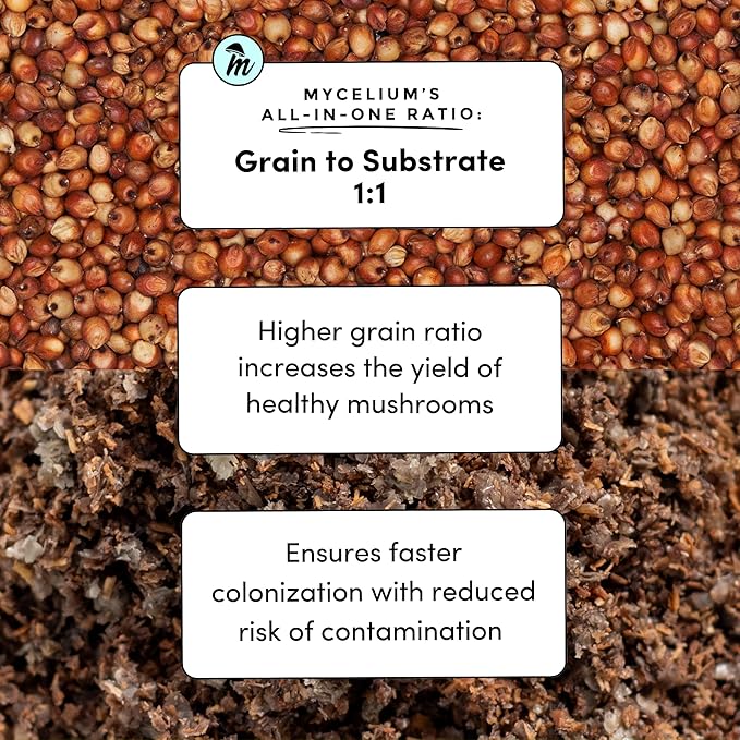 Mycelium Gourmet Mushroom All-in-One Bag - Premium Organic 5LB Blend of Alder & Soy Hull Substrate with Sterilized Milo Grain - Perfect for Variety of Wood-Loving Mushrooms - Home Growing Made Easy