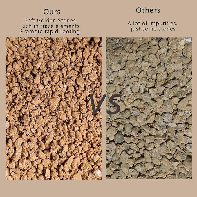 5LBS Soft Golden Maifanitum Stones, Succulent Cactus Decorative Rocks, Indoor Plants Top Dressing Soil, Horticultural Gravel DIY Potting Rocks for Bonsai Fairy Gardening Vases Fillers Terrarium