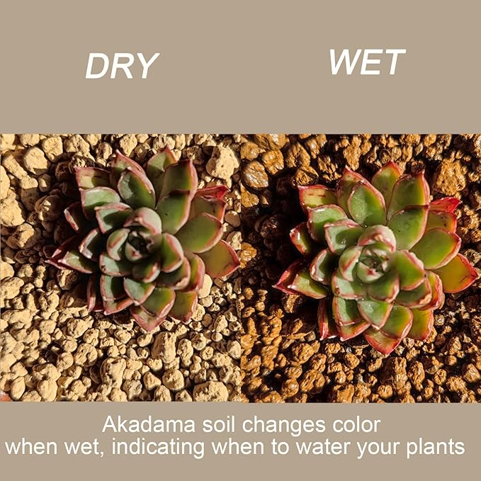 Akadama Bonsai Soil 5lbs Horticultural Potting Soil Amendment Cacti Succulent Plant Soil, Prevent Over Water, Provides Optimal Water Retention, Fast Drainage