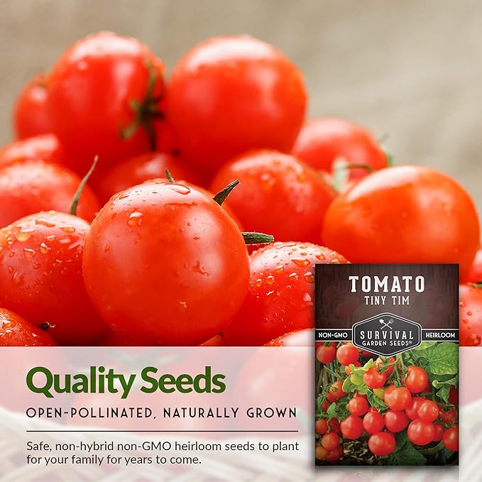 Survival Garden Seeds - Tiny Tim Tomato Seeds for Planting - 5 Packs with Instructions to Grow in Your Home Vegetable Garden - Non-GMO Heirloom Variety
