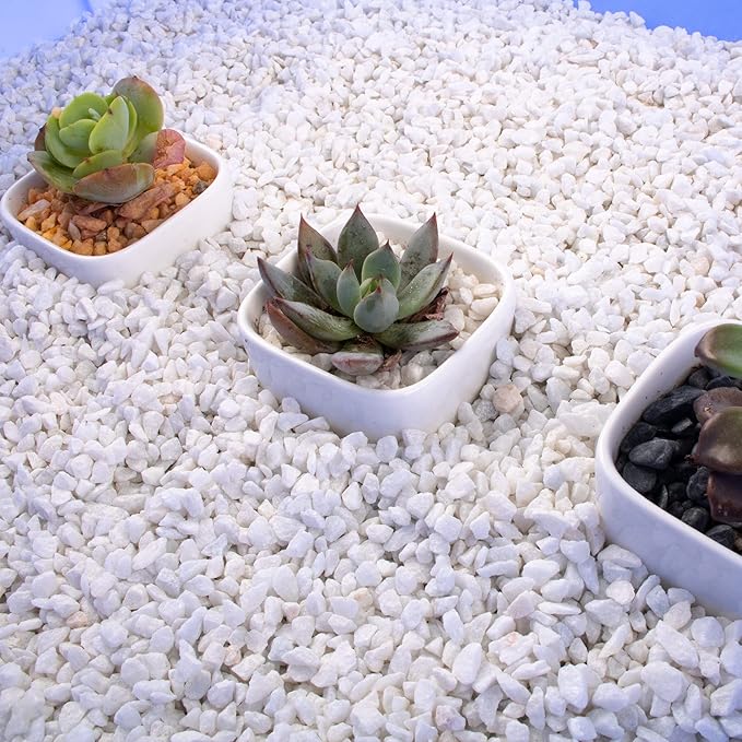 Anothera 18LB 6mm-8mm Succulent and Cactus Bonsai DIY Rocks, White Onyx, Gravel for Terrarium, Fairy Gardening, Top Dressing