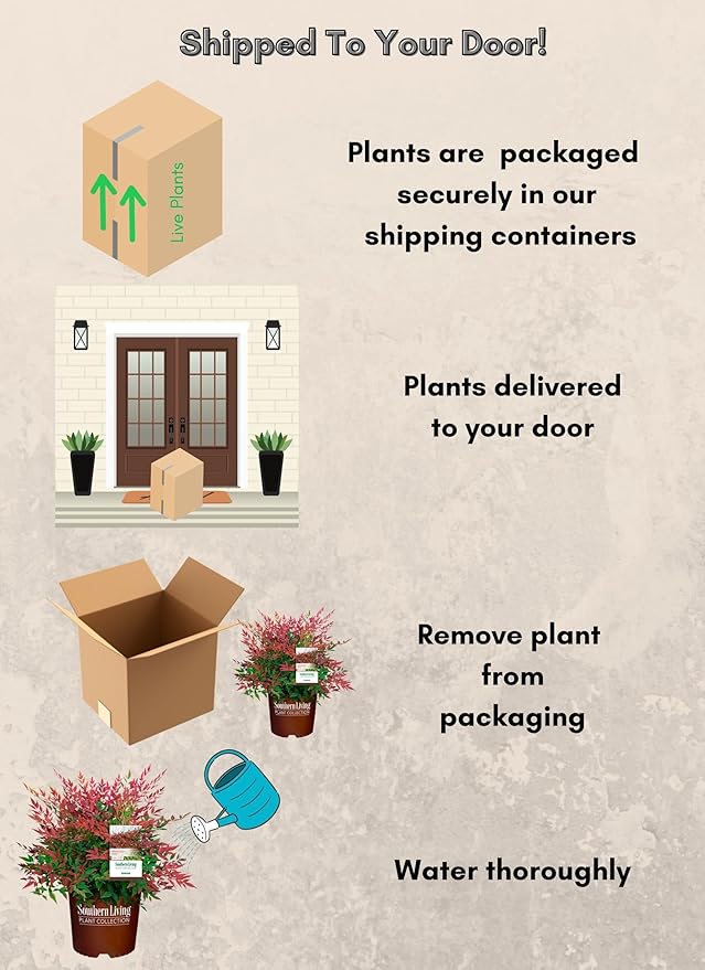 Southern Living Obsession Nandina 2 Gal, Bright Red Foliage