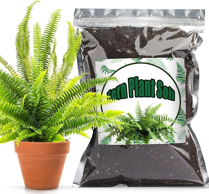 Potting Soil Mix for Fern 2qt, Custom Hand Blended Mixture Suitable for Indoor/Outdoor Potted Fern Plant