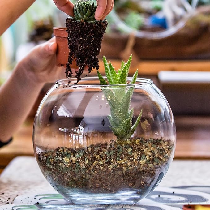 Terrarium Potting Soil Mix 4qt, Custom Made for Terrariums, Perfect for Vibrant Miniature Gardens