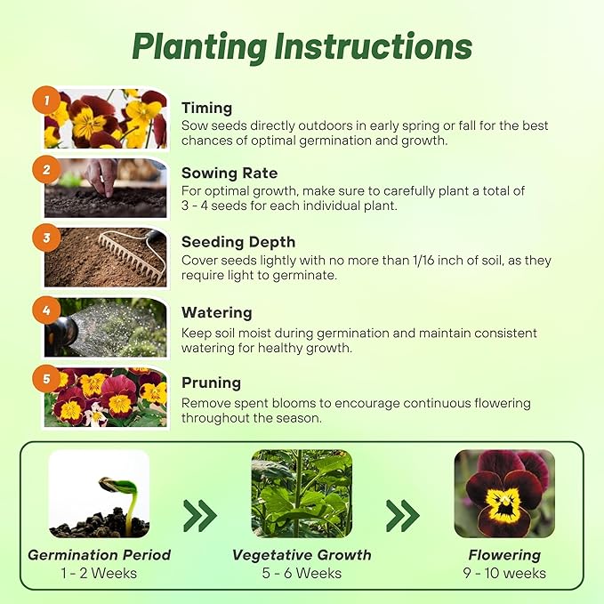 Outsidepride 1000 Seeds Perennial Viola Bambini Flower Seed Mix for Planting