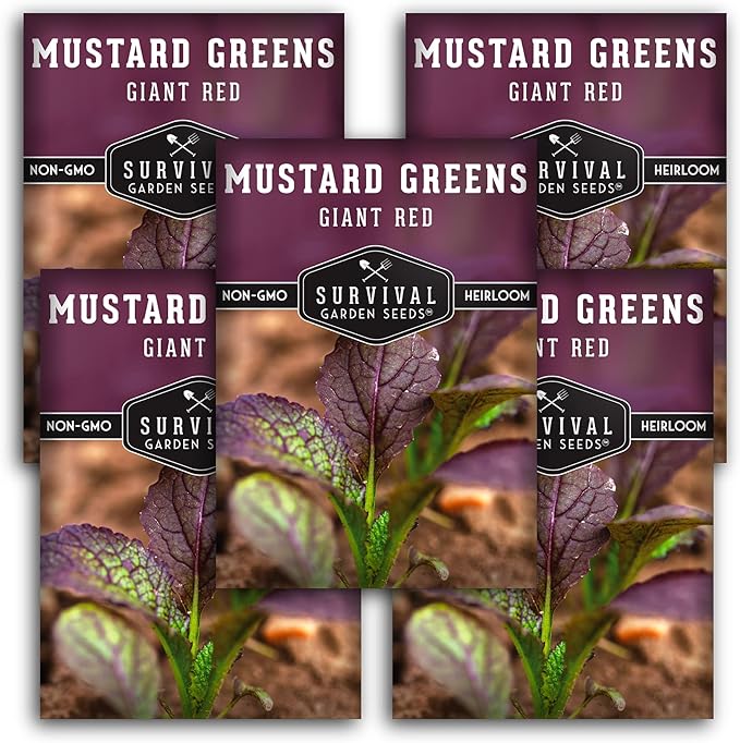 Survival Garden Seeds - Giant Red Mustard Greens Seed for Planting - 5 Packs with Instructions to Plant and Grow Spicy Brassica Juncea Leaves in Your Home Vegetable Garden - Non-GMO Heirloom Variety