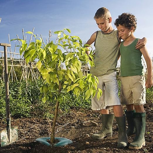 1 PCS Tree Watering Ring - 21 inch Tree Watering Bag. Basic Water Saving Slow Release Root Water System for Tree Drip Irrigation, Slow Release for up to 30 Days.