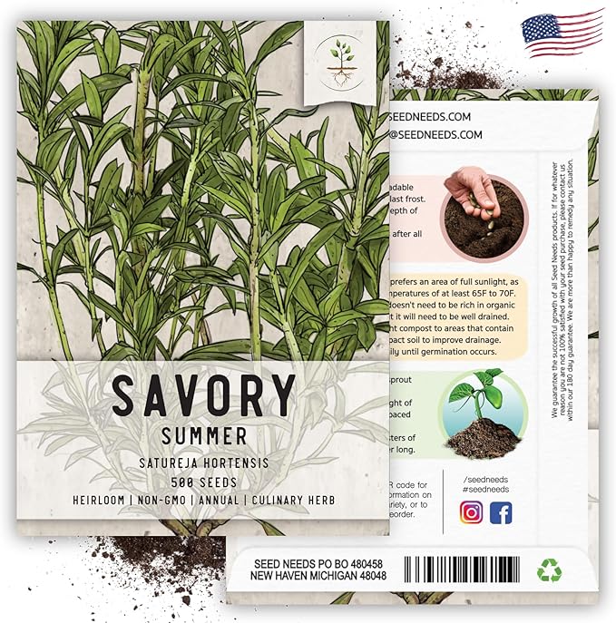 Seed Needs Summer Savory Seeds for Planting - Non-GMO, Heirloom & Untreated Annual Herbs - Organically Grow a Culinary Kitchen Garden Indoors or Outdoors (1 Pack)